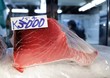 red tuna slice