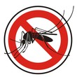 Mosquito_2