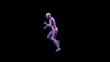 Anatomy Run Side Loop