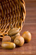 Hazelnuts