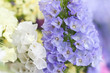 Flores moradas