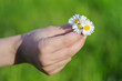Ein kleiner Blumenstrauß für Dich
