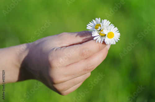 Photo: Ein kleiner Blumenstrauß für Dich Ein kleiner Blumenstrauß für Dich