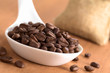 Geröstete Kaffeebohnen auf Keramiklöffel