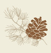 Pinecone