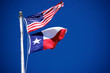 Flags of America and Texas 4