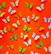 Schmetterling Hintergrund