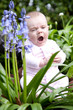 baby sat in garden yawning by bluebells