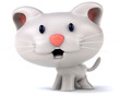 Fun cat