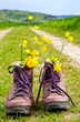 Wanderschuhe auf dem Weg