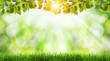 spring background