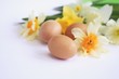 Organic eggs