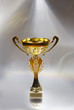Golden cup