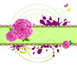 flower background