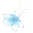 Blue flower