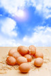 natural eggs.jpg