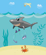 Vector: Shark attack Shark attack