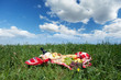 Picknick in der Natur