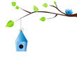 oiseau bleu