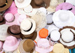Various Fashion Hats Various Fashion Hats