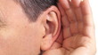 Ear.