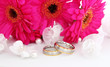 Photo: Two wedding rings Two wedding rings