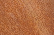 Rost auf Metallplatte
