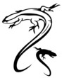 lizard vector illustration