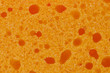 Sponge detail Sponge detail