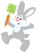 Bunny with a carrot
