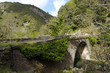 Corse, pont de l'enfert en Costa verde Corse, pont de l'enfert en Costa verde