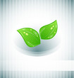 Abstract background with eco green leaves Abstract background with eco green leaves