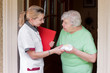 Altenpflegerin beim Hausbesuch eine Patientin