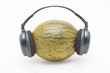 Melon with headphones Melon with headphones