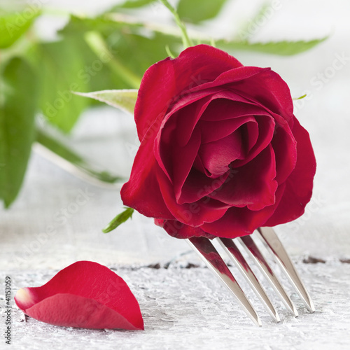 Photo: Gabel mit Rose Gabel mit Rose