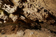 Photo: Dry soil texture Dry soil texture