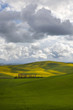 Colline Toscane