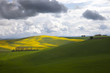 Colline Toscane