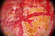 Red Wall