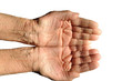 Hands of an elderly person, palms upwards, on a white background Hands of an elderly person, palms upwards, on a white background