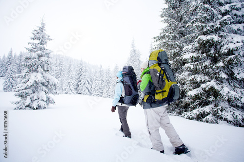Photo: Hiker in the winter forest Hiker in the winter forest