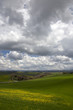 campagna Toscana