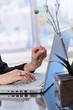 Business portrait of typing on laptop