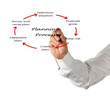 Diagram of planning process