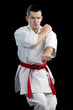 Contrast karate young fighter on black