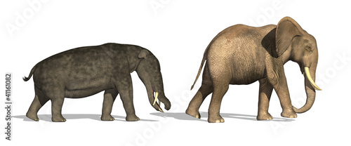 Illustration: Platybelodon and Elephant Compared Platybelodon and Elephant Compared