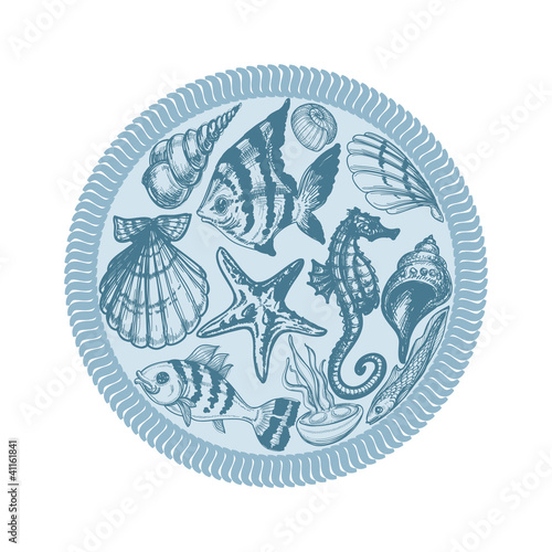 Vector: Sea animals Sea animals