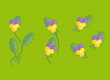 fleurs pensées tricolores viola tricolor fleurs pensées tricolores viola tricolor