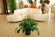 rendering Interior fashionable living-room