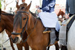 Horse woman wearing the traditional spanish traje corto